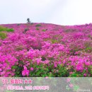 일림산 한치재 주차장 화장실 이미지