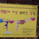 신마포갈매기신제주점