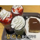 카페스위트박스 | [할리스 울산매곡점]조용하고 넓은건 덤!! 밤늦게까지 운영하는 카페후기