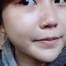 스파인더파리