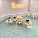 도치트리오