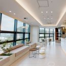 치아살리기 드림365치과의원 이미지