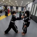 코리아합기도 이미지