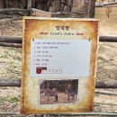 (유)완주아이씨투 | 야생의 숨결을 걷다, '워킹 사파리'를 즐기는 완벽한 가이드 🦁