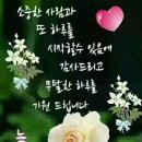 중년의 사랑은 의리입니다! 이미지