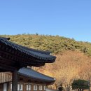 대구 팔공산 동화사 템플스테이 휴식 첫눈 본 후기