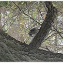 영지농장 이미지