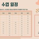 비바음악학원 이미지