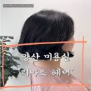 (주)도시알씨 | 양산역 미용실｜뿌리 볼륨매직 + 다크브라운 염색 후기 &#39;리아트헤어&#39;