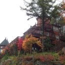 숲속의 예쁜펜션 이미지