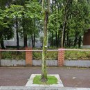 화정초교 이미지