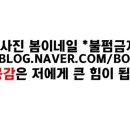 봄이네샵