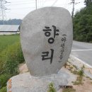 향리 이미지