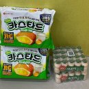 YTA태권도장 이미지