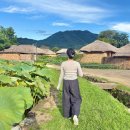 낙안읍성큰샘 주식회사 | 순천 여행 필수코스! 600년 전통이 살아 있는 낙안읍성 구경 후기