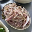 대전 다리위오징어 숭어회 내돈내먹 솔직후기 웨이팅꿀팁