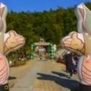 신경자 이미지