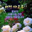 서울중앙법무사법인