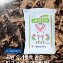 자연에그린