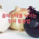 콜레스토롤 녹이는 활용 법 이미지