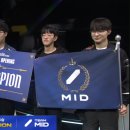 오프닝라인