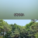 번데미공원 네이버블로그
