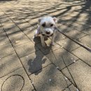 쉬리미용실