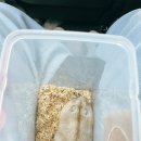 쿨펫 양한방 동물병원 이미지