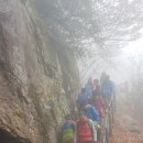 Q사랑염색방 이미지