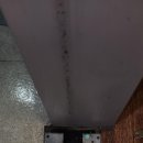 과천대로 이미지