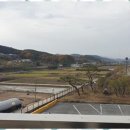 남한강민물매운탕 - 강서구 등촌로57길 9 | 남한강민물매운탕