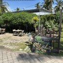 [길리 트라왕안 현지식] New Gili Frame Resto and Bar에서의 나시고랭, 치킨 커리 후기