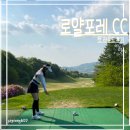 (주)그늘집스크린골프케이티엑스 | 로얄포레CC 코스,난이도,첫 라운딩 충격적인 썰푼다