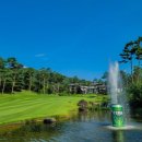 메이저골프클럽 이미지