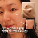 네이처민트 | "이영애가 직접 만든 팩?" 리아네이처 마스크팩 후기