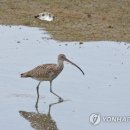 중선포천 이미지