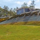 다산베아채골프앤리조트 이미지