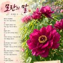 늘푸른 경로당 | 봄빛 속에 스며든 하루의 기록