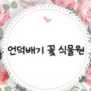 오정식물원 이미지