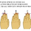 새끼손가락 길이와 성격ㅡ 재미로 보는 성격 이미지