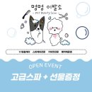 멍멍이발소 이미지