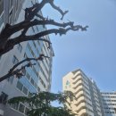 청호아파트 이미지