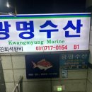 구미수산(해물) | 분당_성남맛집_오리역 맛집_광명수산 오리역점