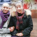 연운경 카카오 검색결과