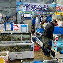 일종수산 | 진도쏠비치 회포장 “진도수산시장 일종수산” 내돈내산