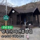 장성-14 | 전남 장성 방장산자연휴양림 ‘목향동’ 숙박 후기｜가격·시설·예약팁 총정리