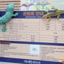 진주익룡발자국전시관 이미지