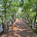 애련정로,중리천로113번길 이미지