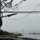 장씨해녀집 이미지