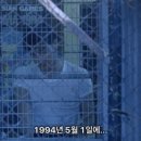 소란한보통날